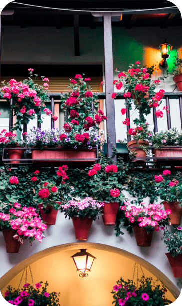free tour patios cordoba